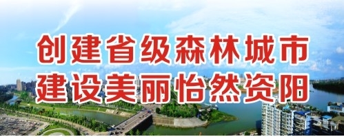 大屌疯狂日蜜穴网站创建省级森林城市 建设美丽怡然资阳